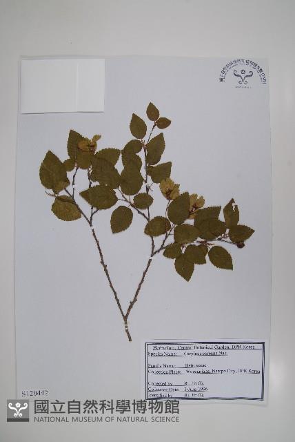 登錄號:S120442藏品圖，第1張