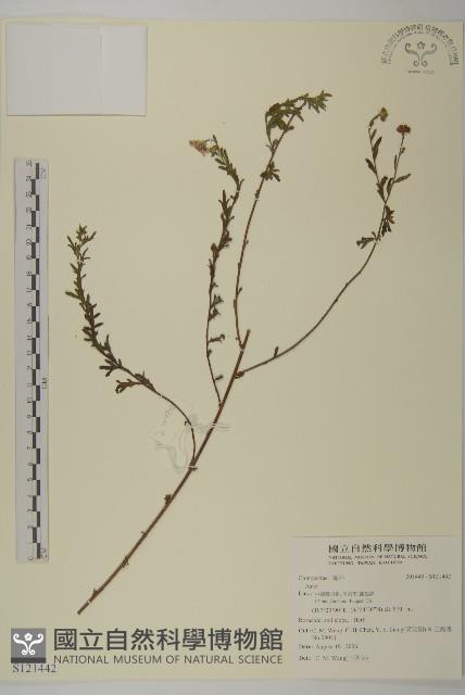 登錄號:S121442藏品圖，第1張