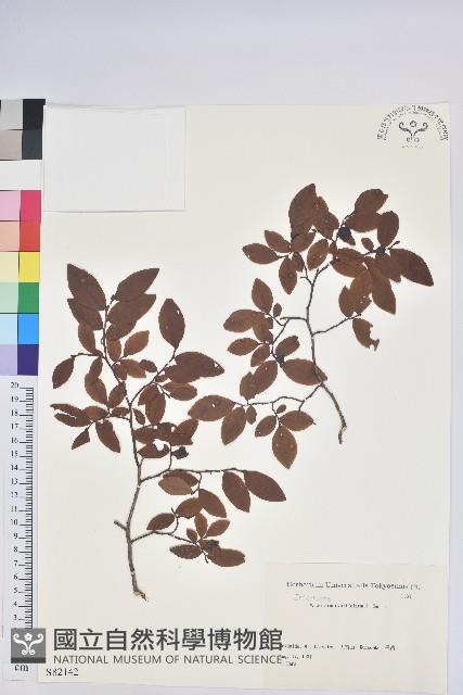 登錄號:S082142藏品圖，第1張