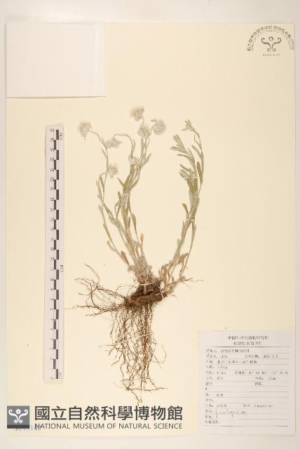 登錄號:S143142藏品圖，第1張