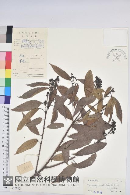 登錄號:S032842藏品圖，第1張