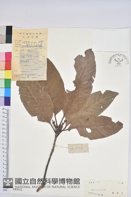 登錄號:S040542藏品圖，第1張