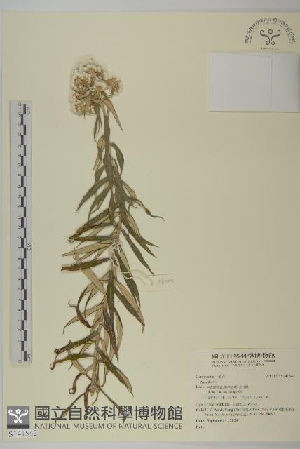 登錄號:S141542藏品圖，第1張