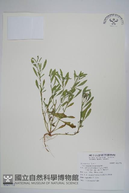 登錄號:S121772藏品圖，第1張