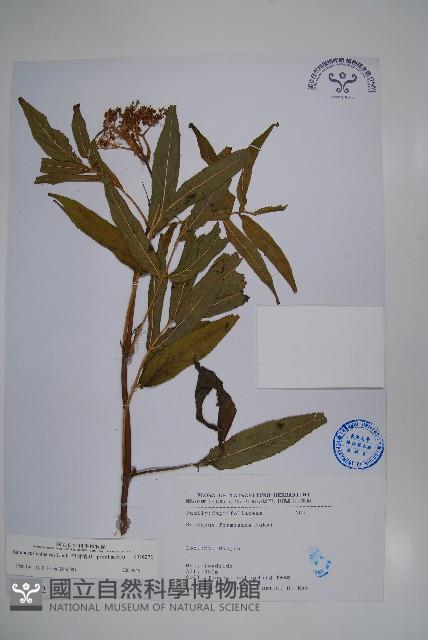 冇骨消藏品圖，第1張