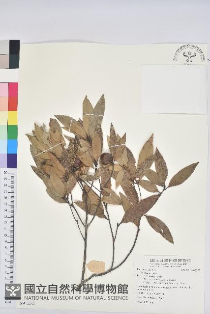 登錄號:S091272藏品圖，第1張