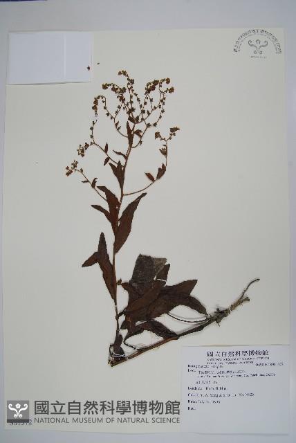 登錄號:S081372藏品圖，第1張