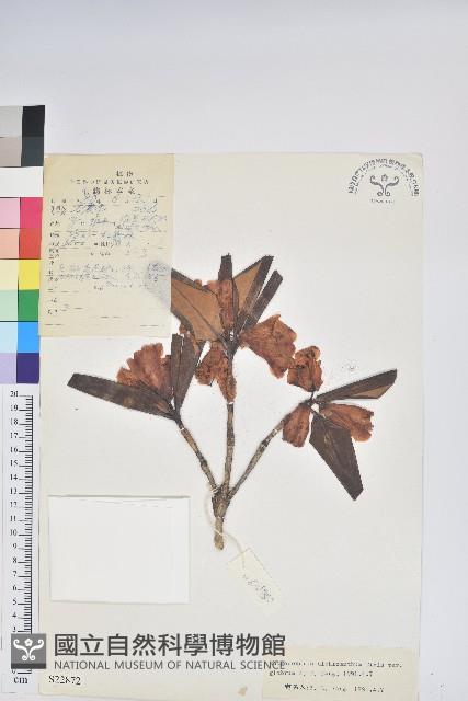 登錄號:S022872藏品圖，第1張