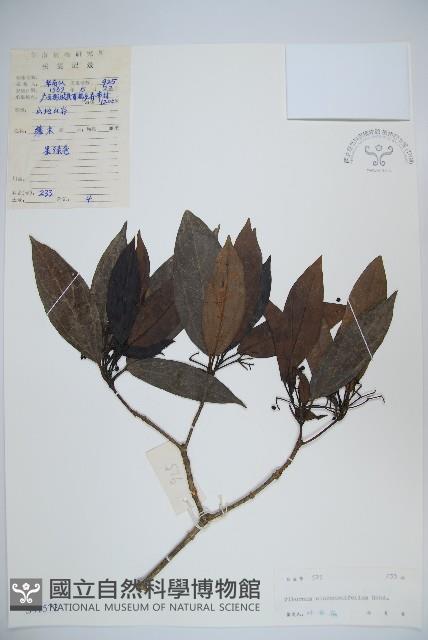 Accession Number:S041572 Collection Image, Figure 1, Total 2 Figures