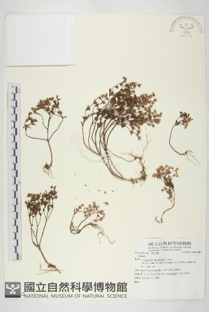 登錄號:S081082藏品圖，第1張