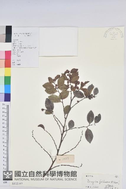 黑面神藏品圖，第1張