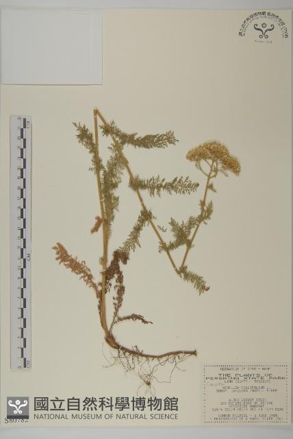 登錄號:S080782藏品圖，第1張