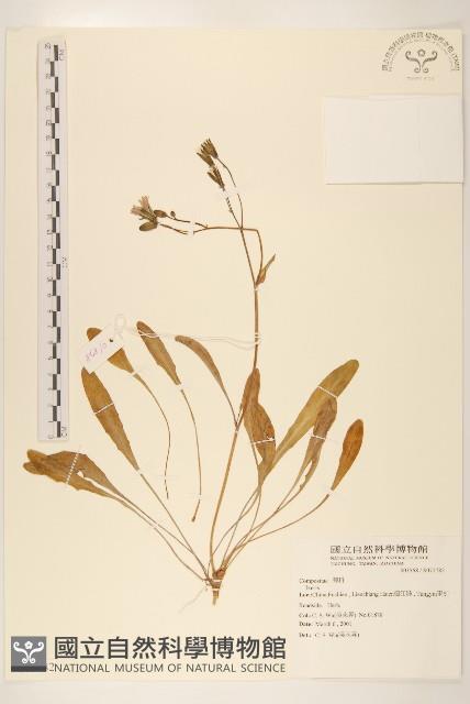 登錄號:S071782藏品圖，第1張