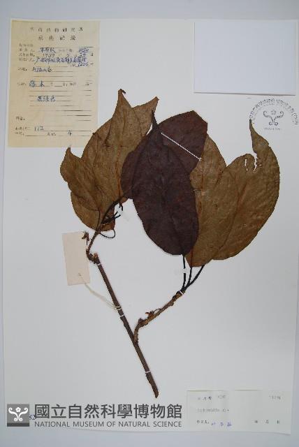 登錄號:S043782藏品圖，第1張