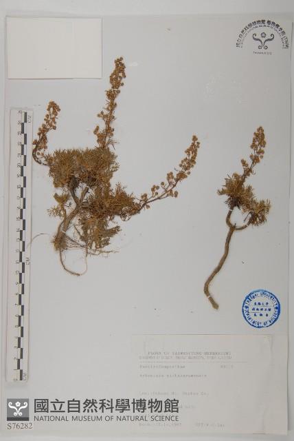 高山艾藏品圖，第1張