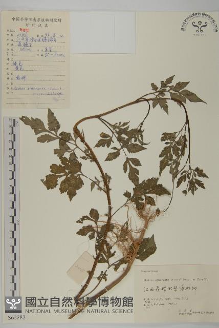 登錄號:S062282藏品圖，第1張