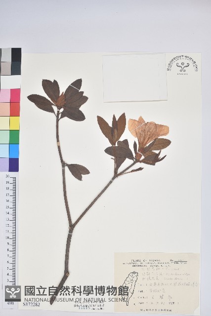 登錄號:S172282藏品圖，第1張