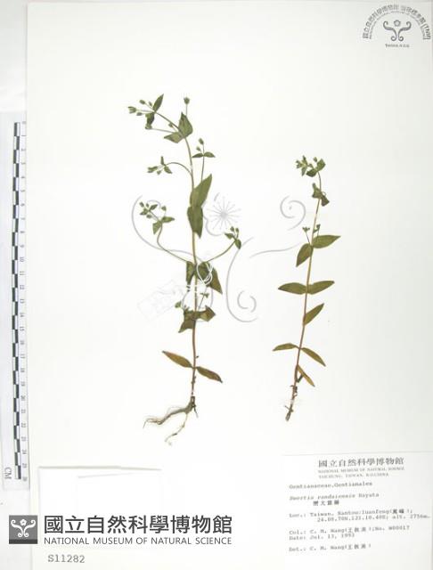 Accession Number:S011282 Collection Image