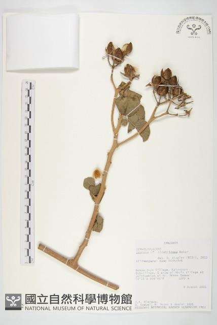 登錄號:S093882藏品圖，第1張