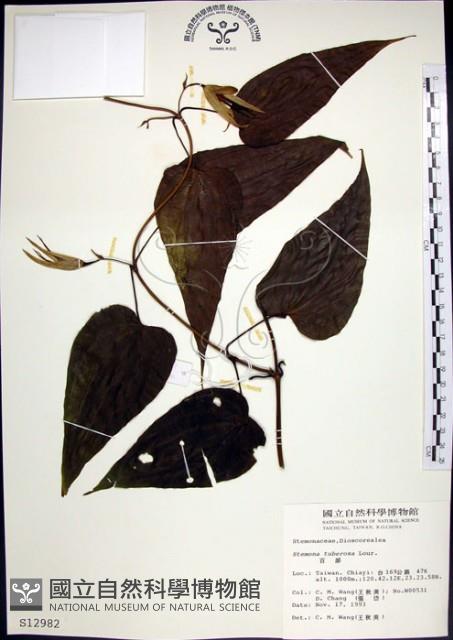 百部藏品圖，第1張