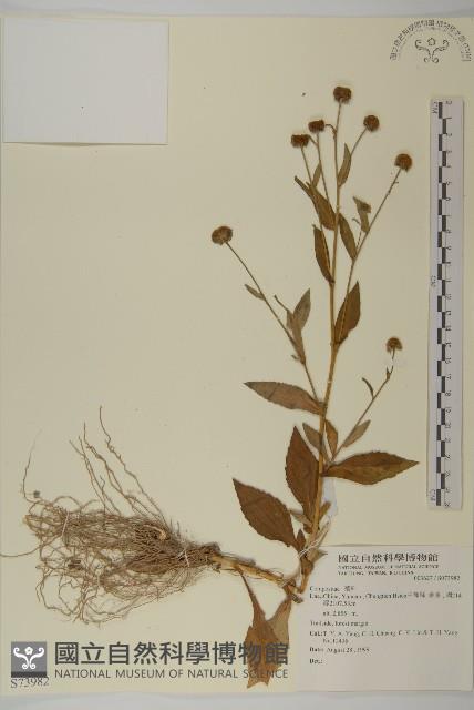 登錄號:S073982藏品圖，第1張