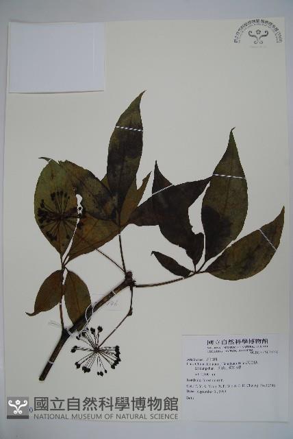 登錄號:S074220藏品圖，第1張