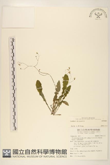 登錄號:S095420藏品圖，第1張