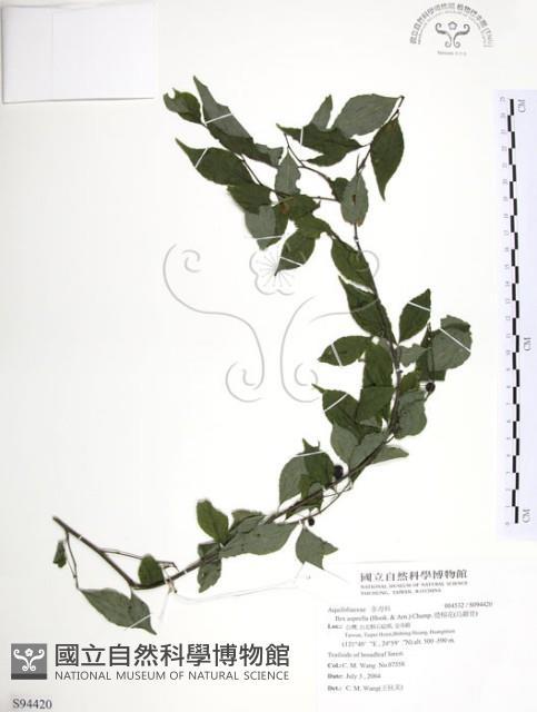 燈稱花、烏雞骨藏品圖，第1張