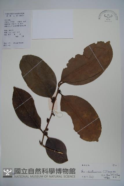 登錄號:S101820藏品圖，第1張