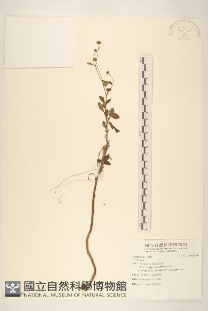 登錄號:S096920藏品圖，第1張