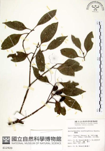 瓊楠藏品圖，第1張