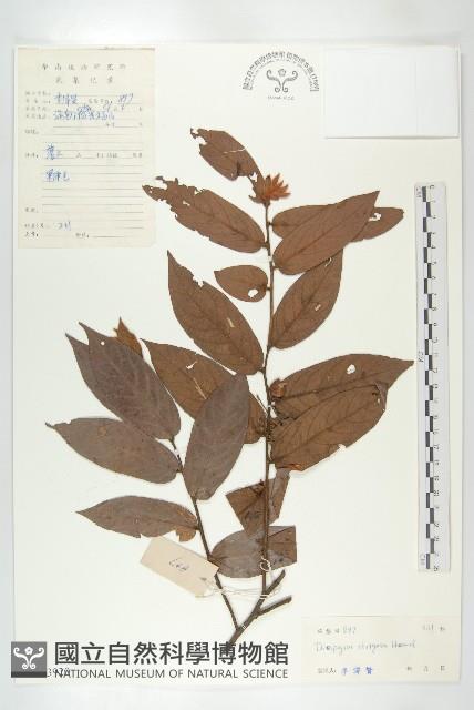 Accession Number:S033920 Collection Image, Figure 1, Total 6 Figures