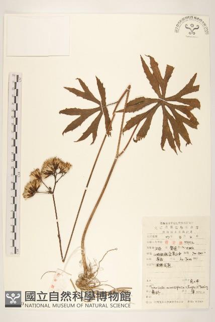 Accession Number:S052520 Collection Image, Figure 1, Total 2 Figures