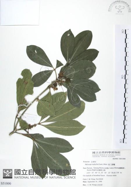 假三腳虌藏品圖，第1張