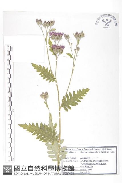 登錄號:S120200藏品圖，第1張