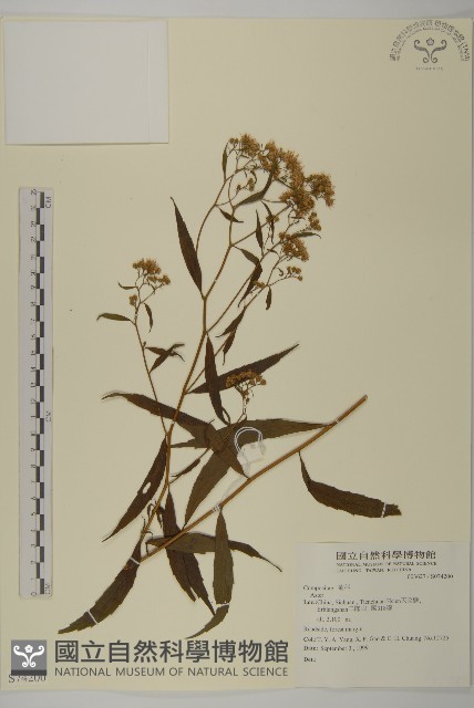 登錄號:S074200藏品圖，第1張