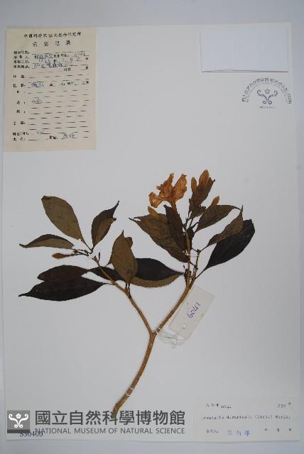 Accession Number:S030400 Collection Image, Figure 1, Total 2 Figures