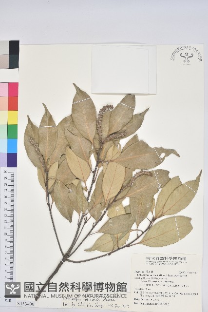 登錄號:S163400藏品圖，第1張
