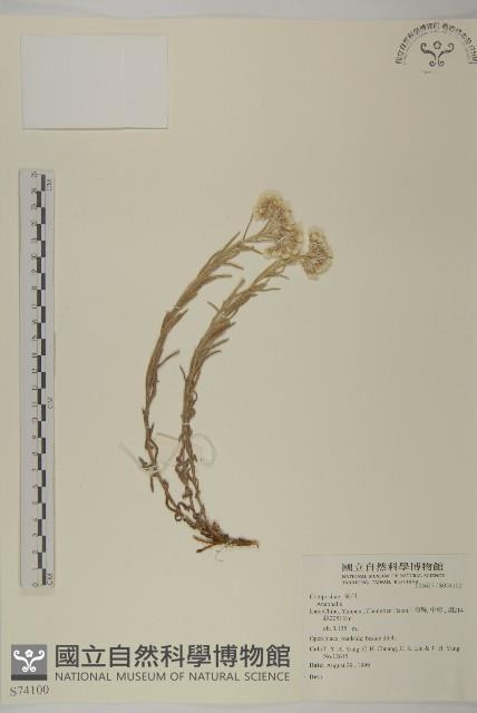 登錄號:S074100藏品圖，第1張