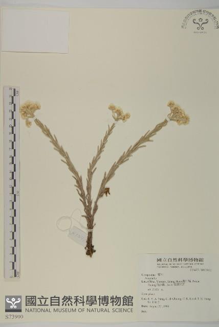 登錄號:S073900藏品圖，第1張