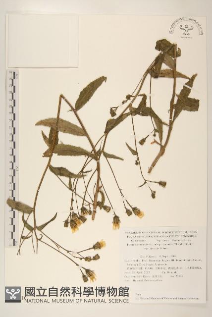 登錄號:S130710藏品圖，第1張