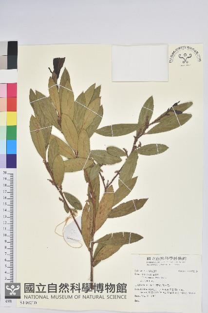 登錄號:S140210藏品圖，第1張