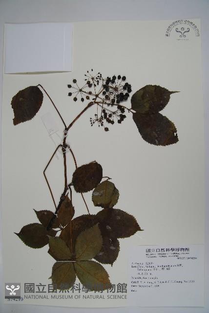 登錄號:S074210藏品圖，第1張