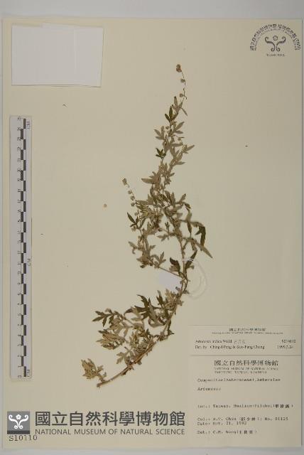 登錄號:S010110藏品圖，第1張