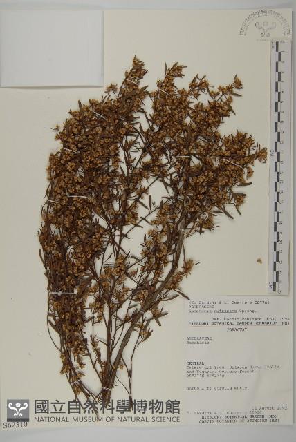 登錄號:S062310藏品圖，第1張