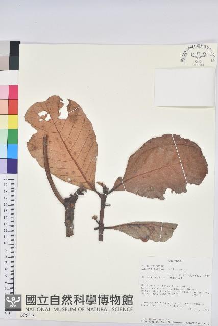 登錄號:S095810藏品圖，第1張