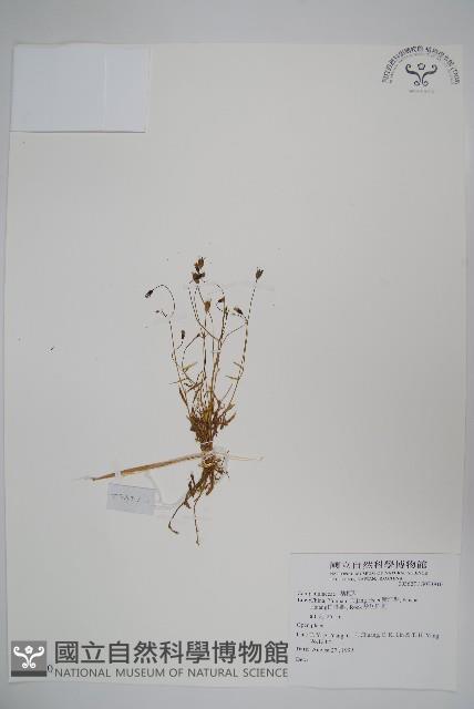 登錄號:S073910藏品圖，第1張