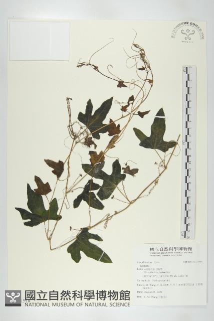 登錄號:S121510藏品圖，第1張