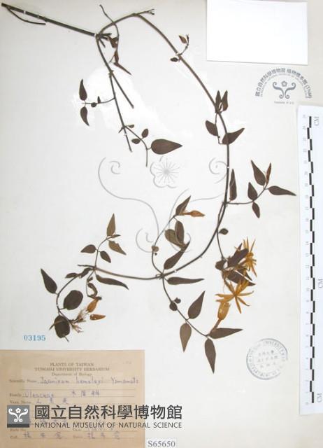 山素英藏品圖，第1張