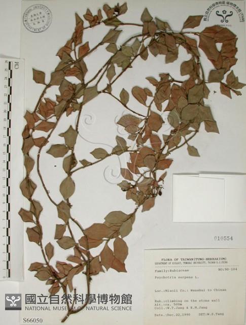 拎壁龍藏品圖，第1張